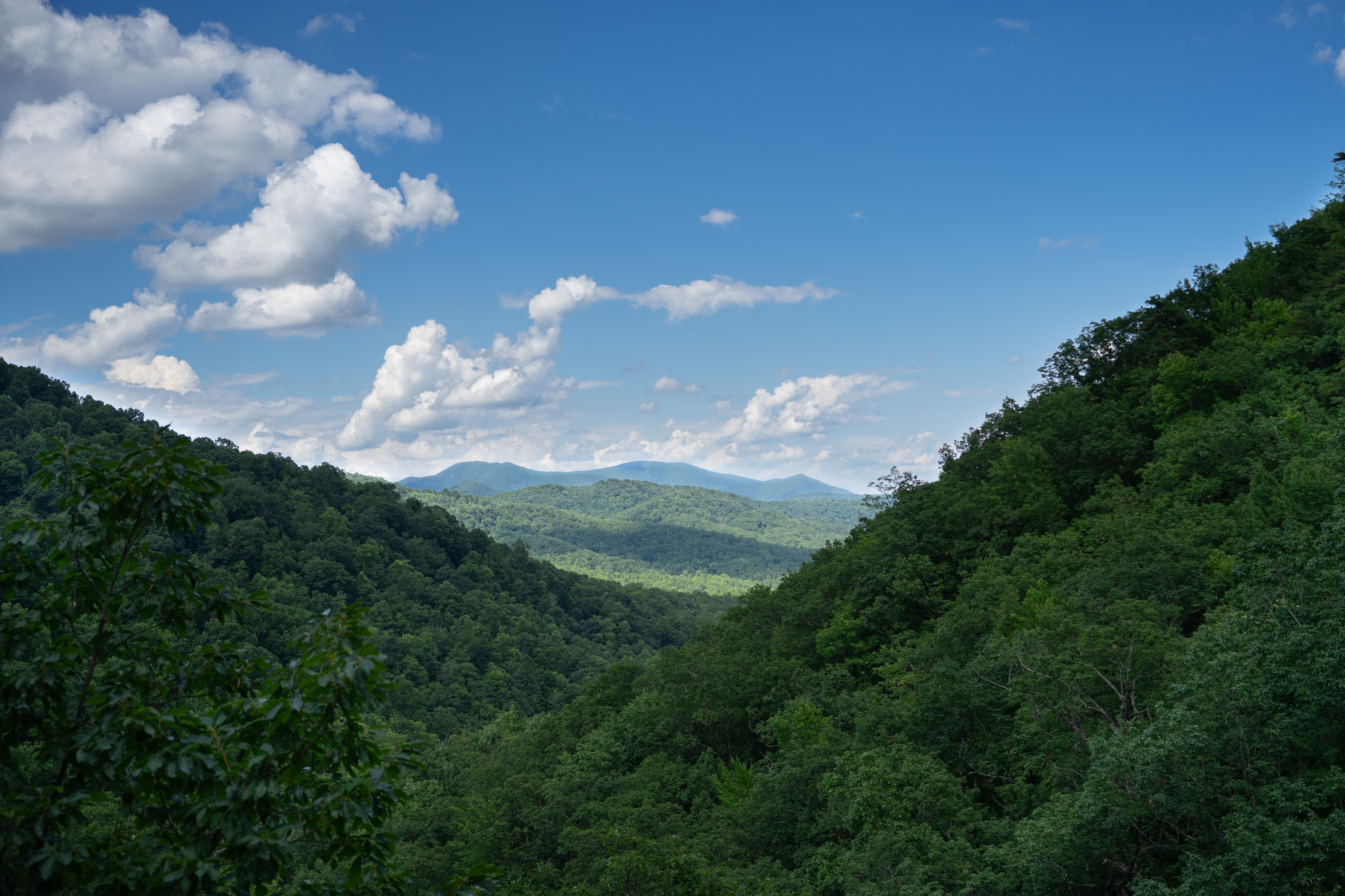 Blue Ridge mountain landscape